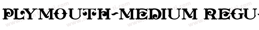 Plymouth-Medium Regu字体转换